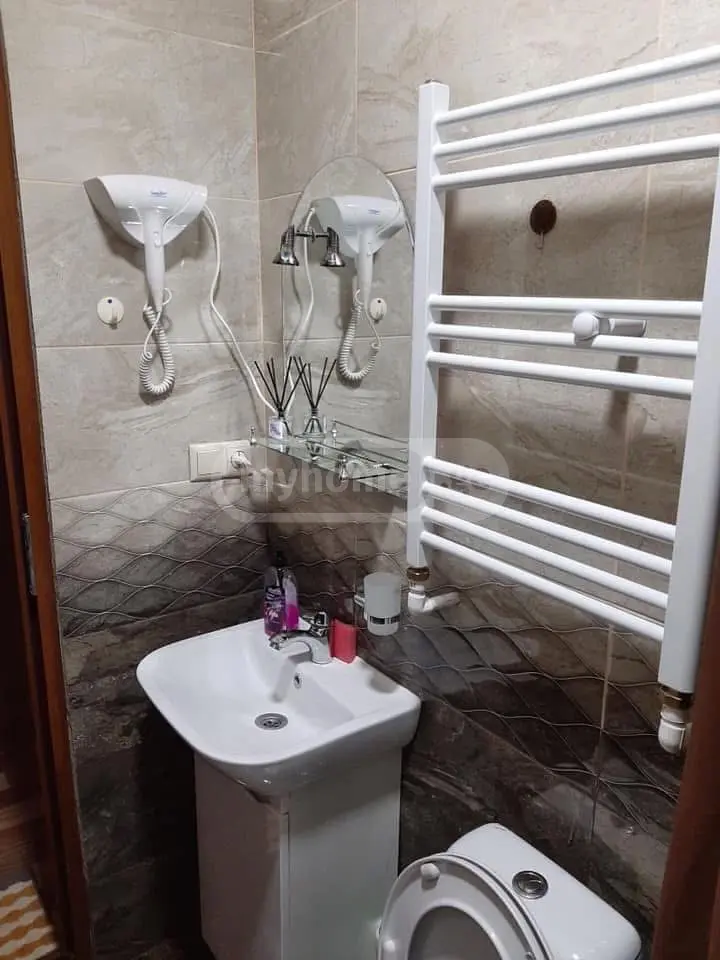 1 Room Apartment Daily Rent In Borjomi view 13