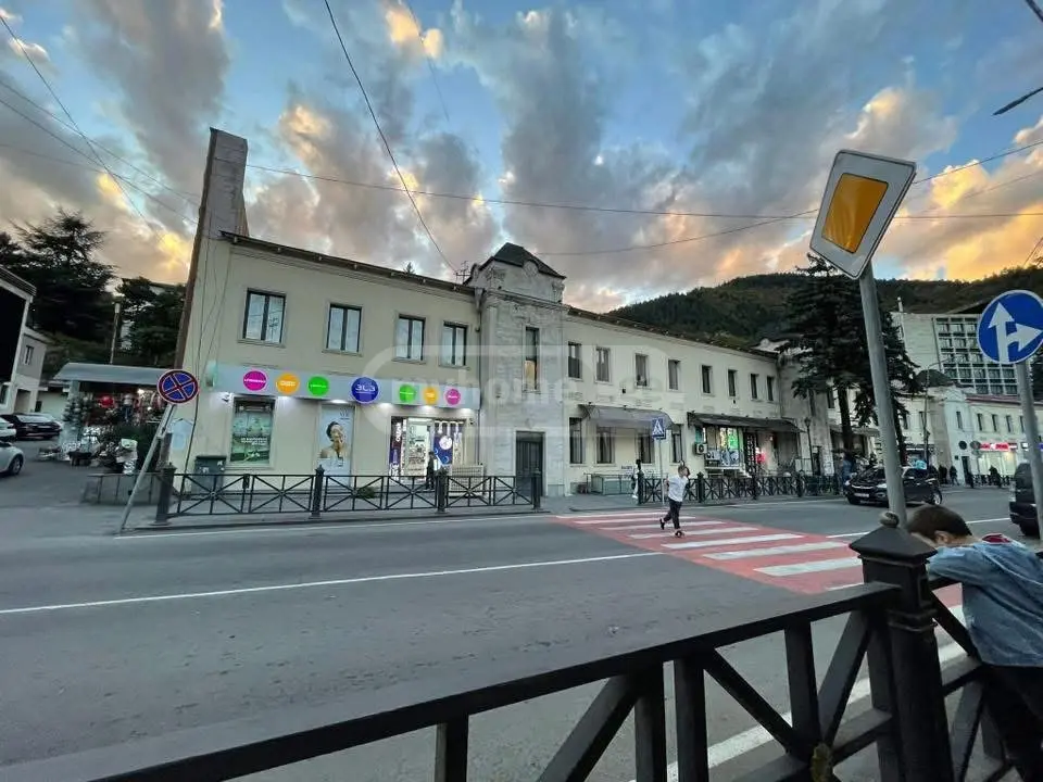 1 Room Apartment Daily Rent In Borjomi view 3