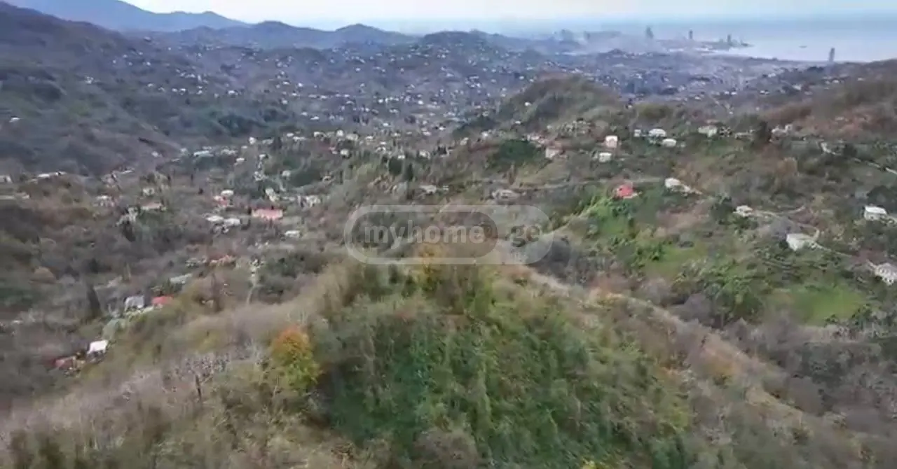 იყიდება Agricultural Plot In Korolistavi, In Khelvachauri Municipalityში view 3