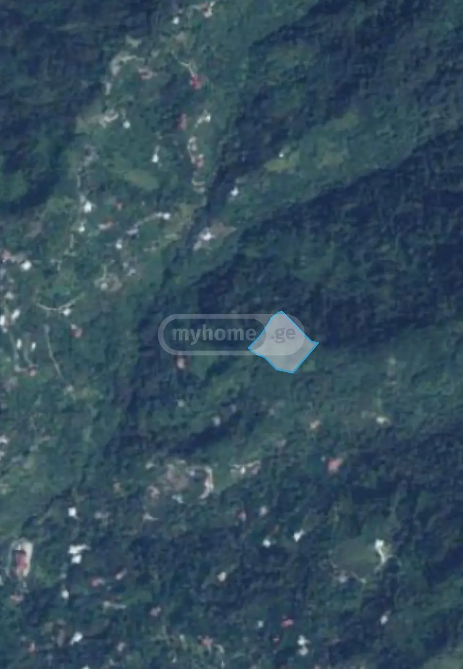 იყიდება Agricultural Plot In Korolistavi, In Khelvachauri Municipalityში view 6