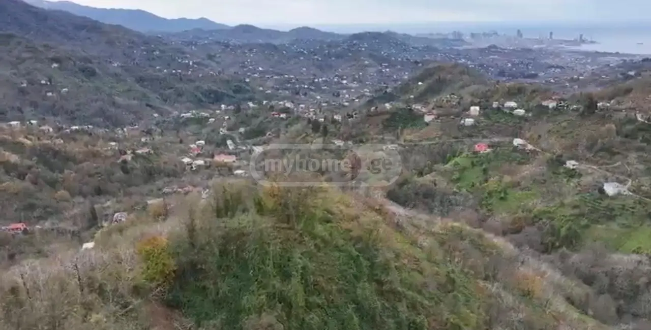 იყიდება Agricultural Plot In Korolistavi, In Khelvachauri Municipalityში view 5