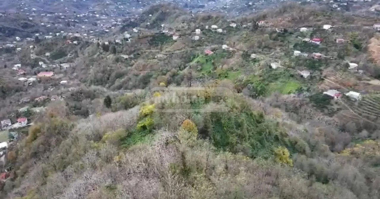 იყიდება Agricultural Plot In Korolistavi, In Khelvachauri Municipalityში view 4