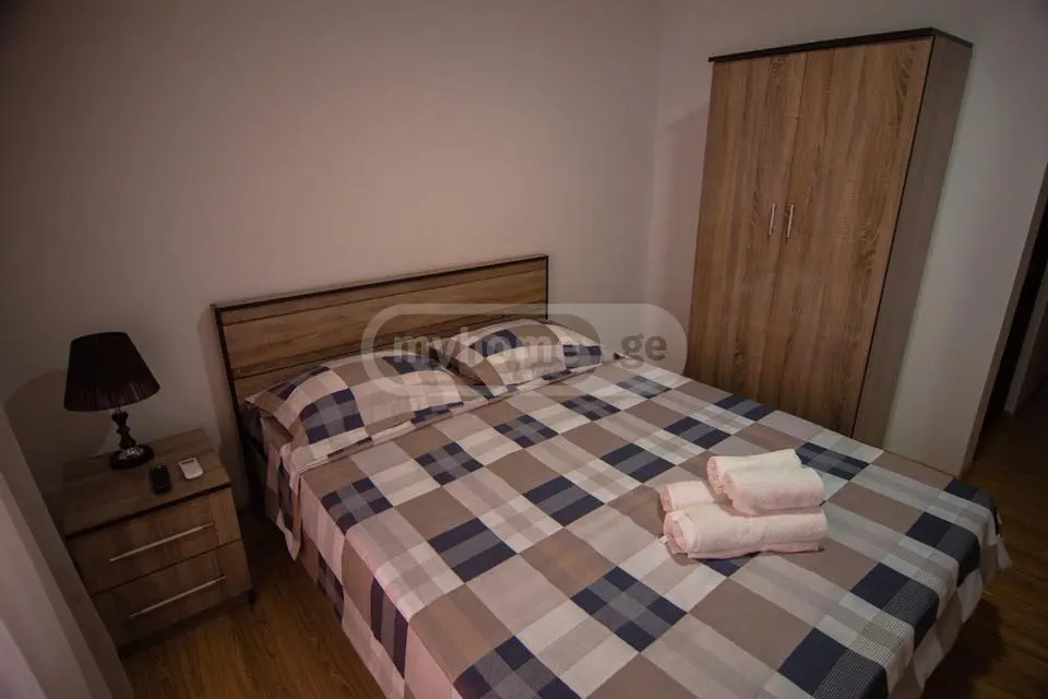 10+ Room Apartment For Rent In Telavi view 7