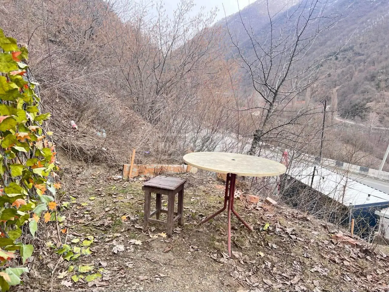 Food Object Commercial Area For Sale In Pasanauri, In Dusheti Municipality view 8