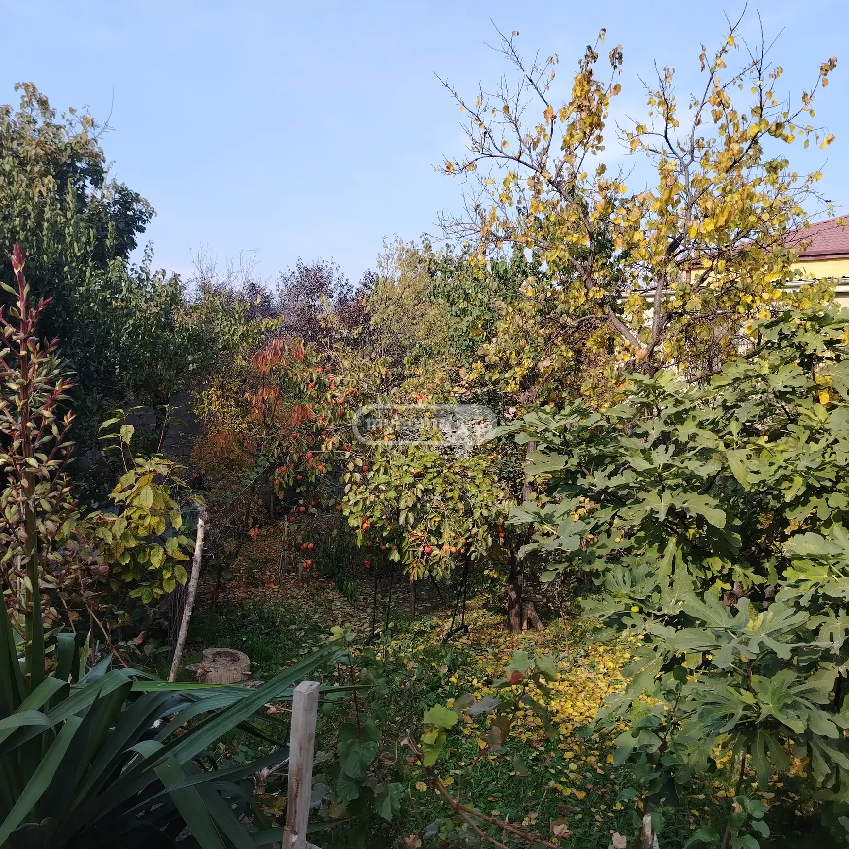 8 Room Private House For Rent In Gldani view 6