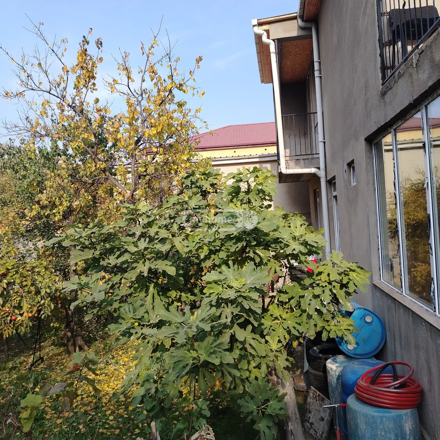 8 Room Private House For Rent In Gldani view 10