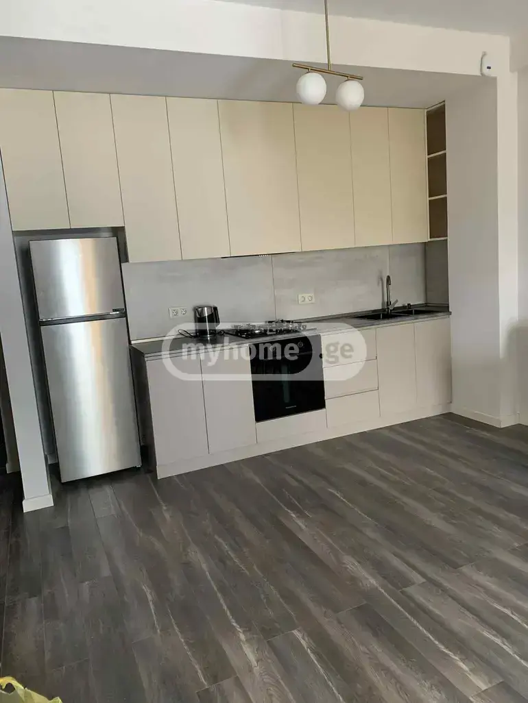 2 Room Apartment For Rent In Nadzaladevi view 6