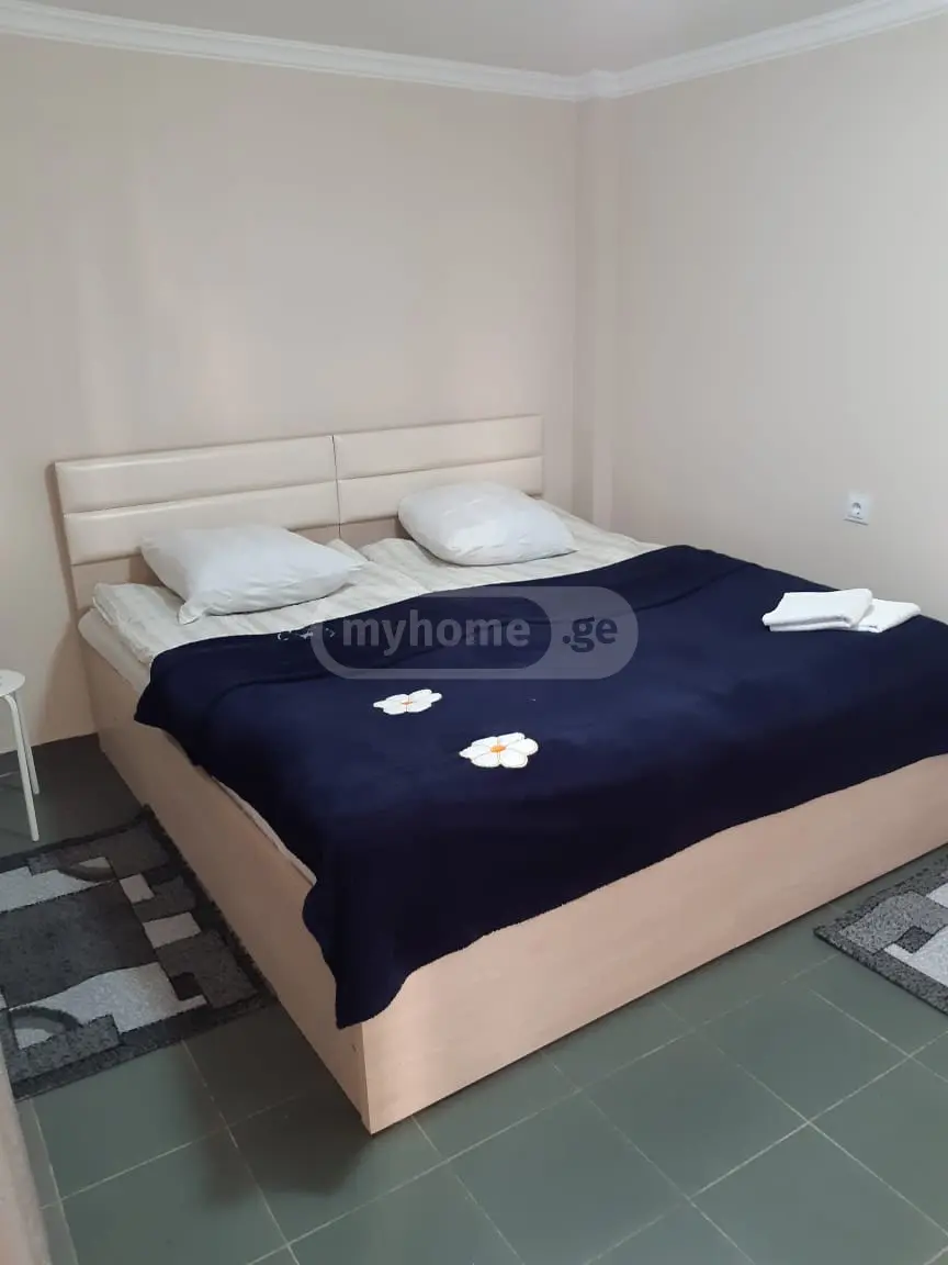 1 Room Apartment Daily Rent In Mtatsminda view 1