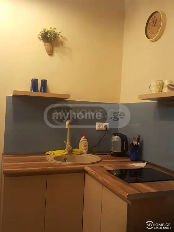 1 Room Apartment Daily Rent In Avlabari view 4