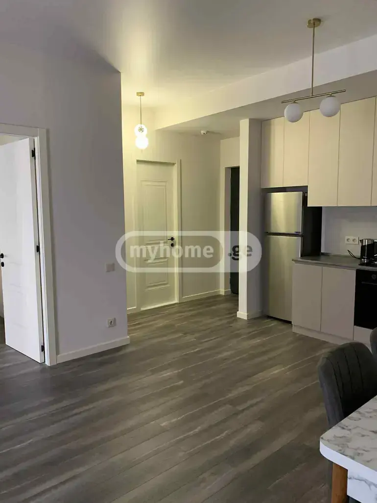 2 Room Apartment For Rent In Nadzaladevi view 3