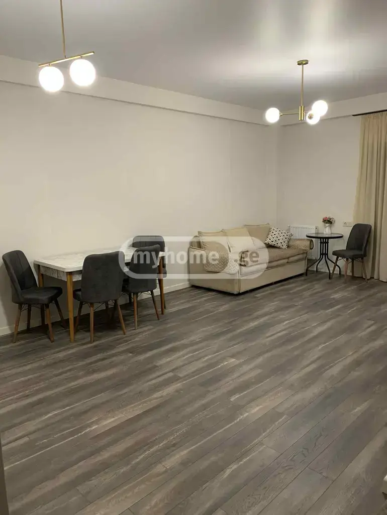 2 Room Apartment For Rent In Nadzaladevi view 2