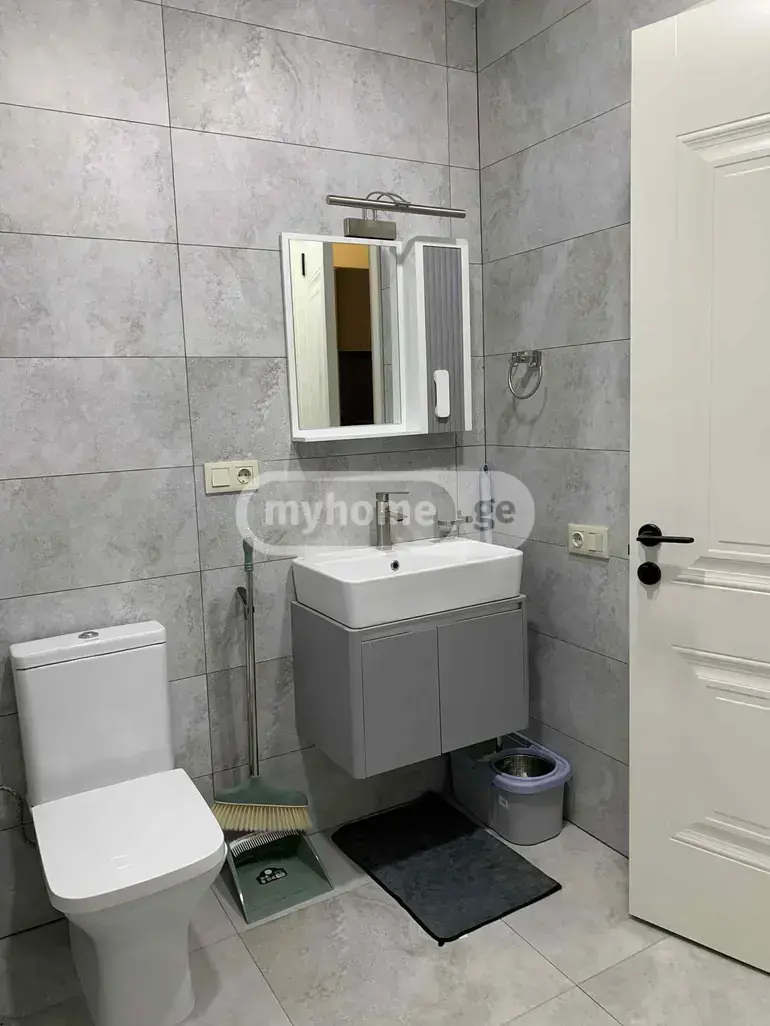 2 Room Apartment For Rent In Nadzaladevi view 10
