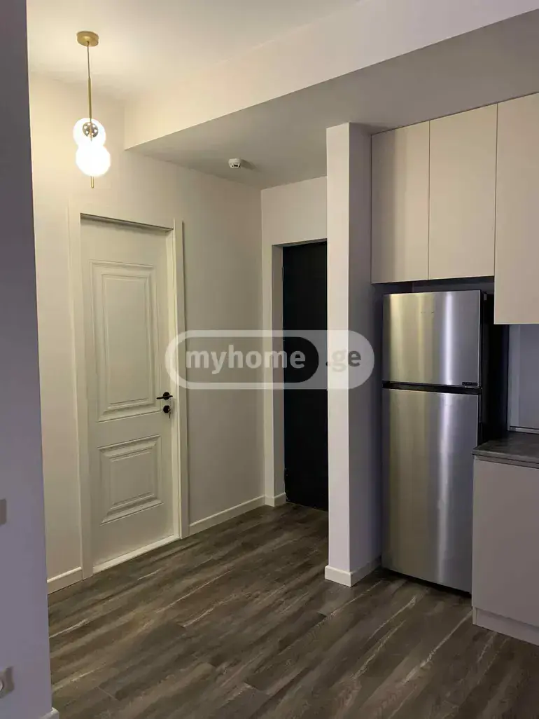 2 Room Apartment For Rent In Nadzaladevi view 7