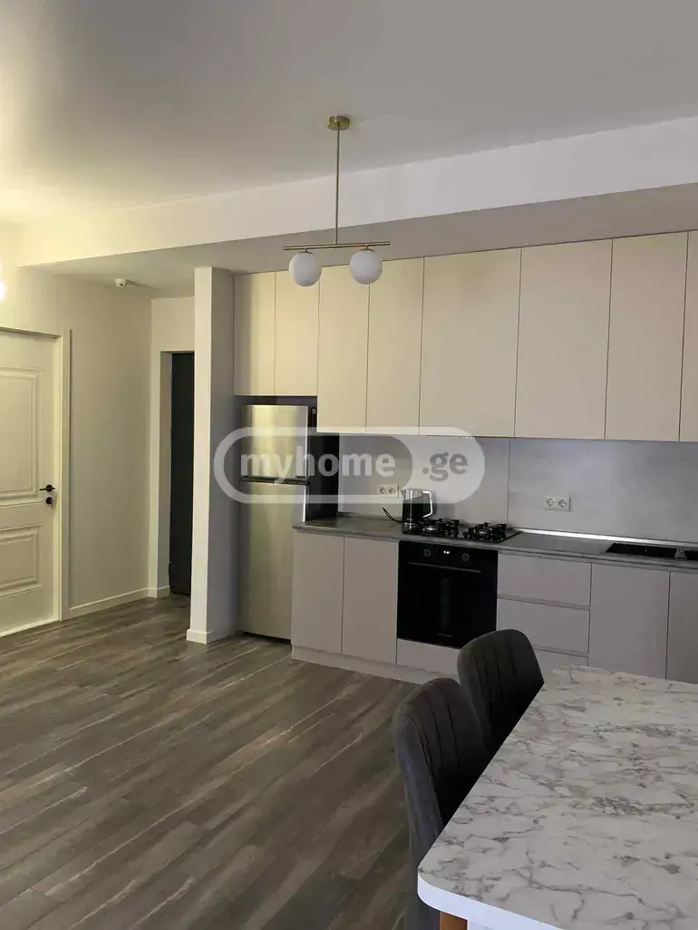 2 Room Apartment For Rent In Nadzaladevi view 4