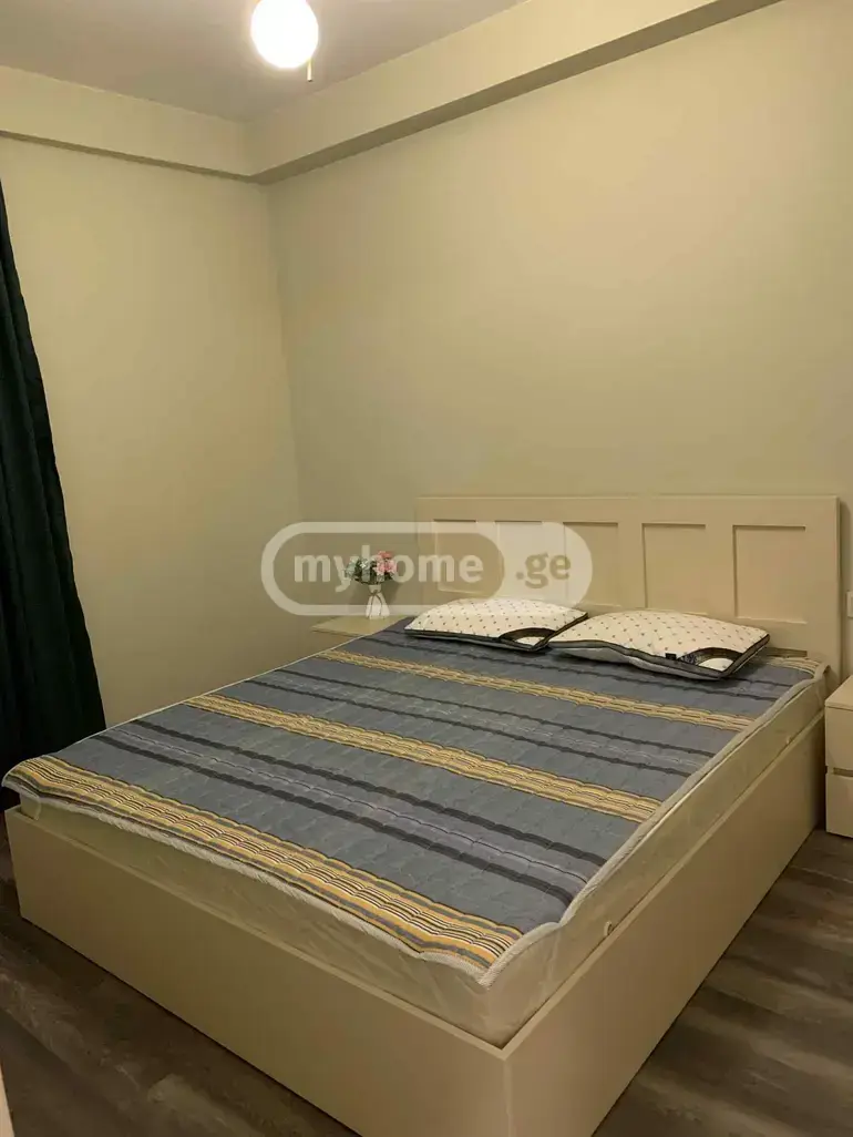 2 Room Apartment For Rent In Nadzaladevi view 8