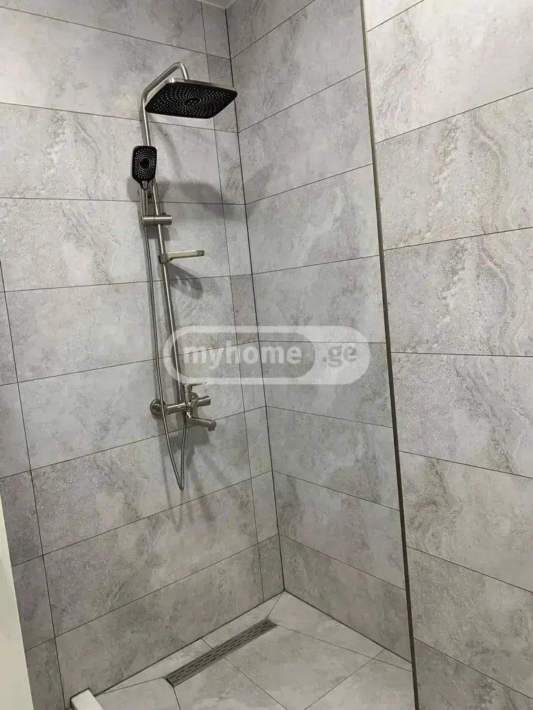 2 Room Apartment For Rent In Nadzaladevi view 11