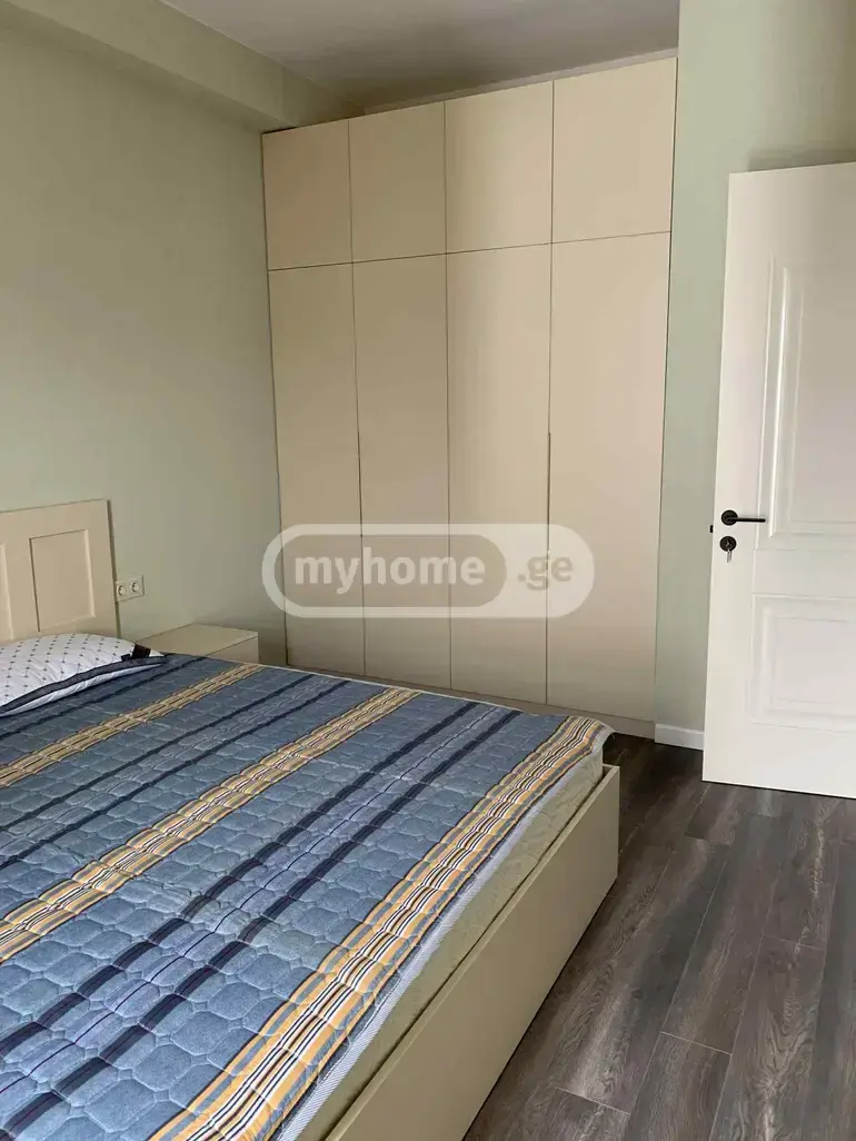 2 Room Apartment For Rent In Nadzaladevi view 9