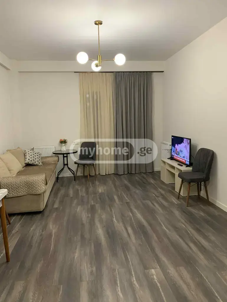 2 Room Apartment For Rent In Nadzaladevi view 1