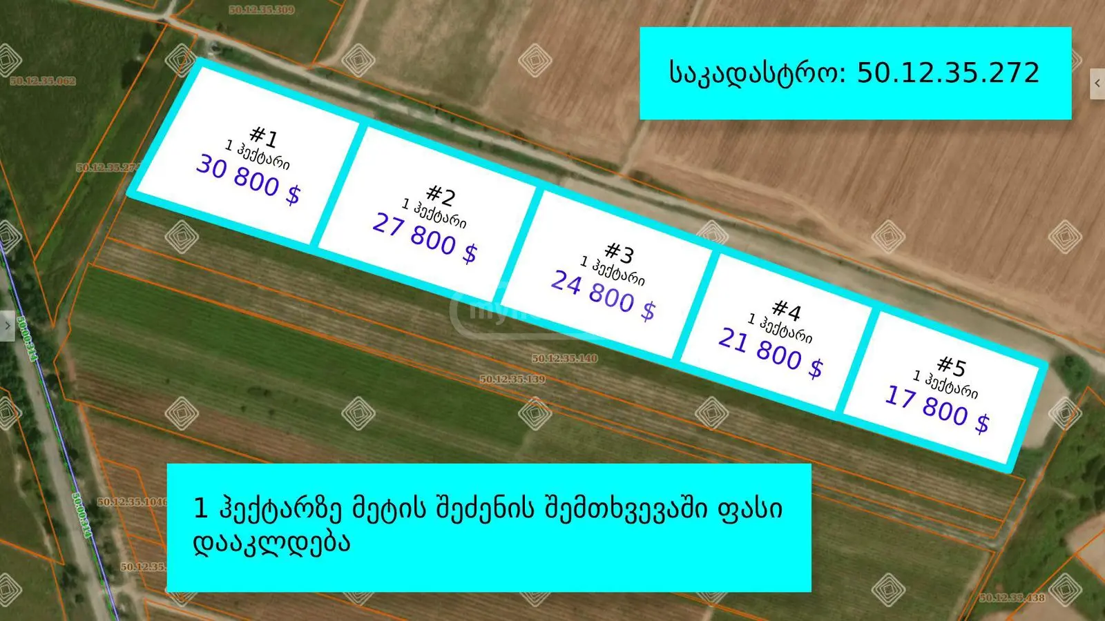 Non-Agricultural Plot For Sale In Telavi view 2