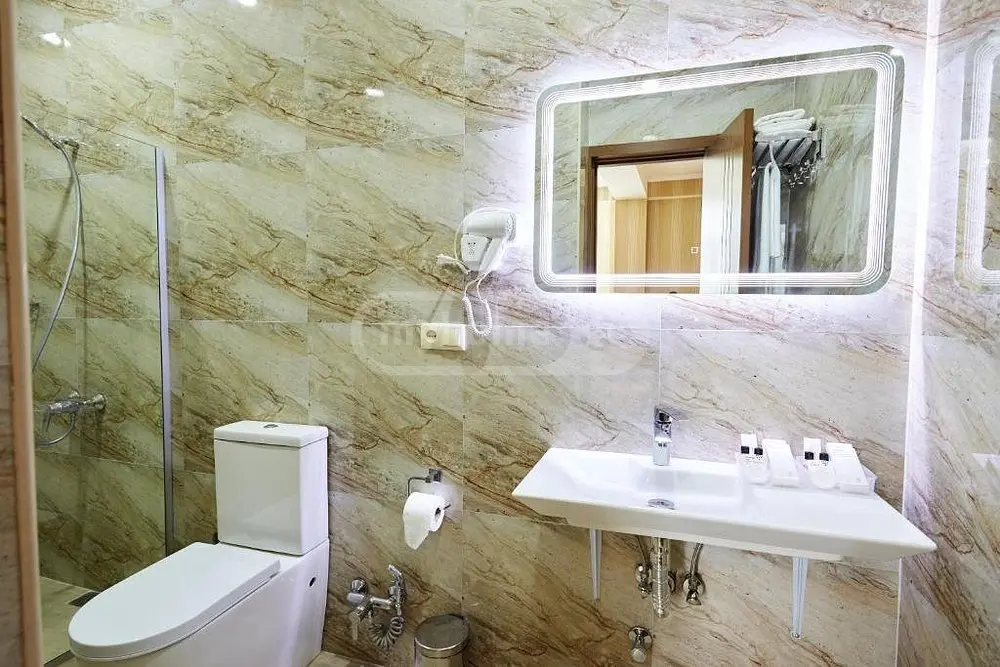 10+ Room Hotel For Sale In Saburtalo view 7