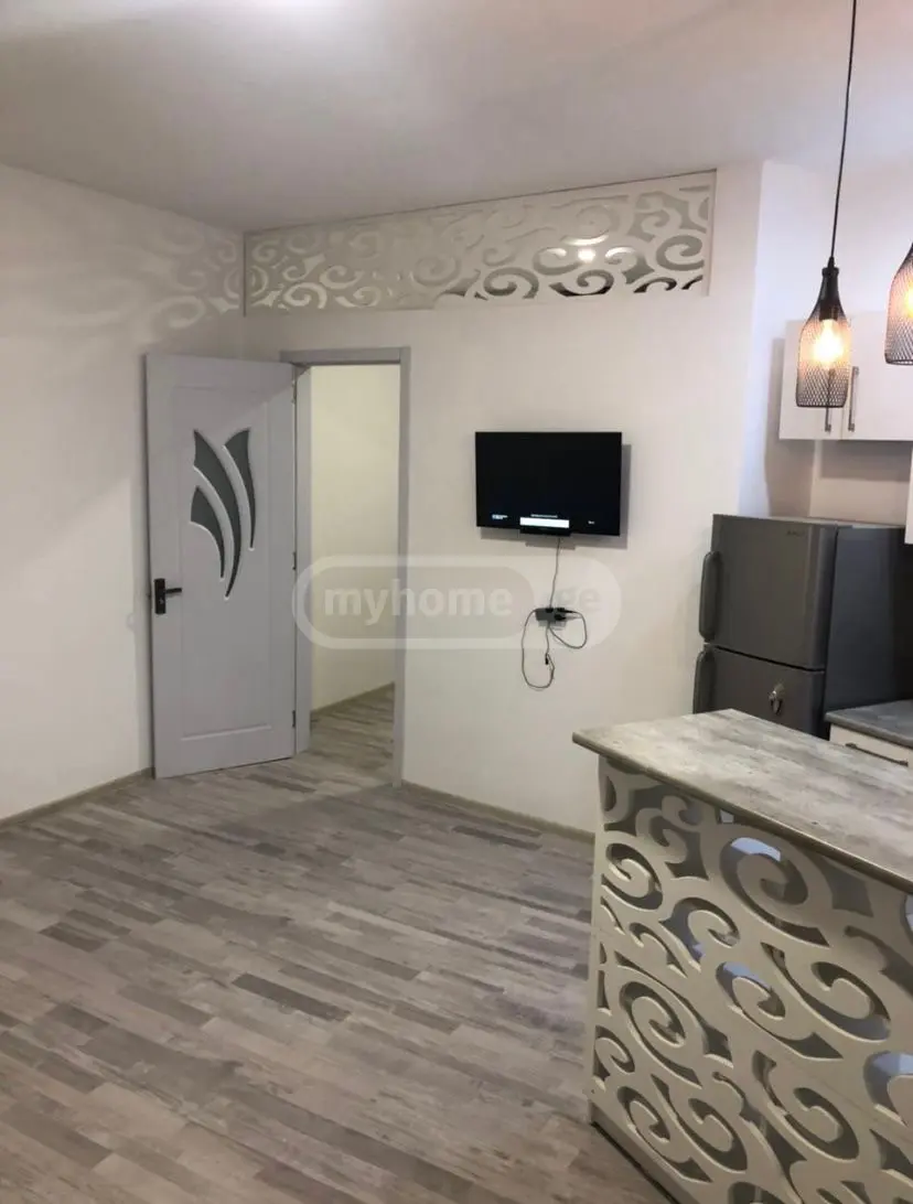 2 Room Apartment Daily Rent In Didube view 13