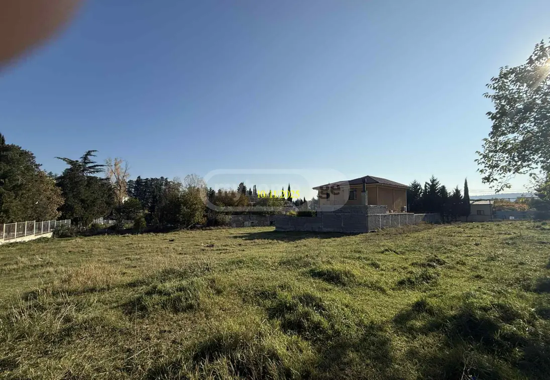 Agricultural Plot For Sale In Nadzaladevi view 2