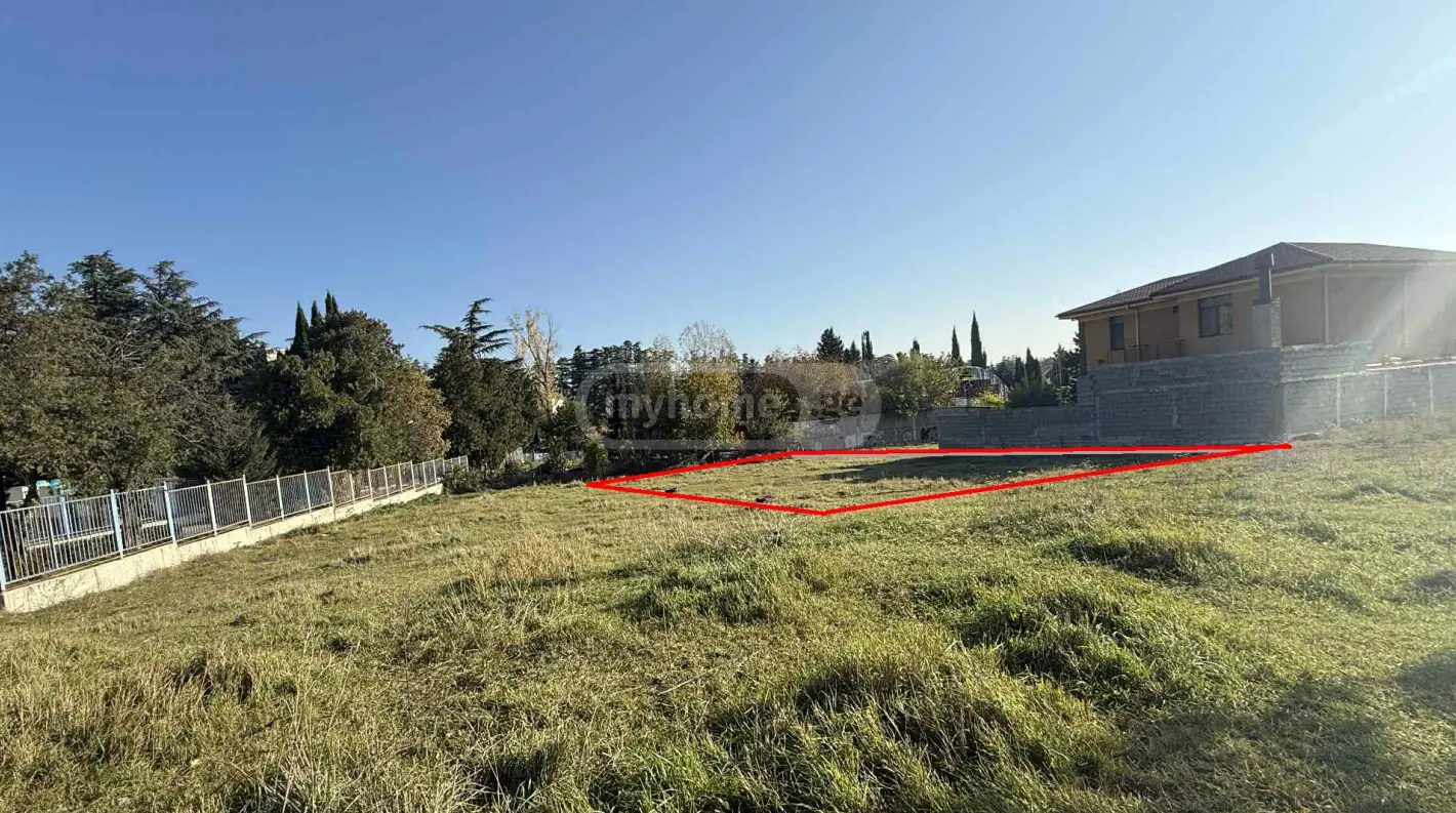 Agricultural Plot For Sale In Nadzaladevi view 1