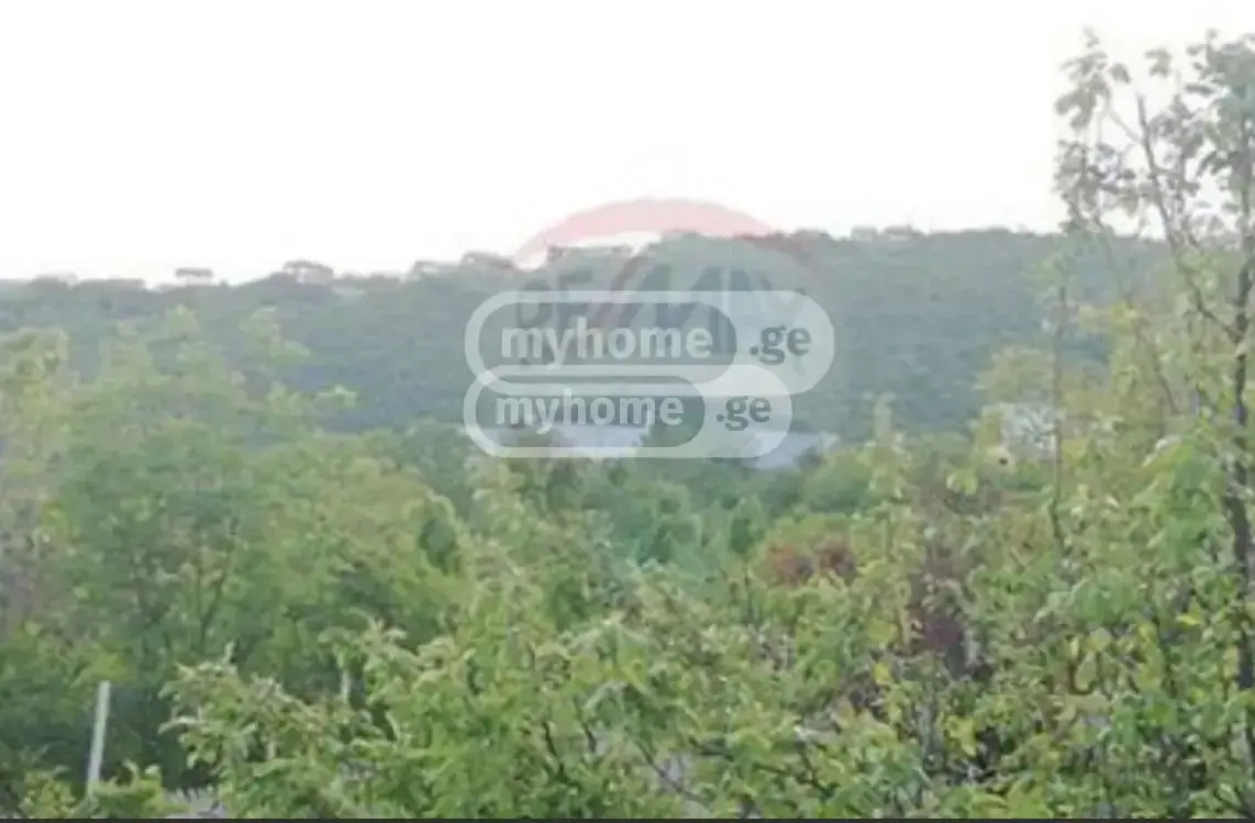 7 Room Country House For Rent In Lisi Lake view 10