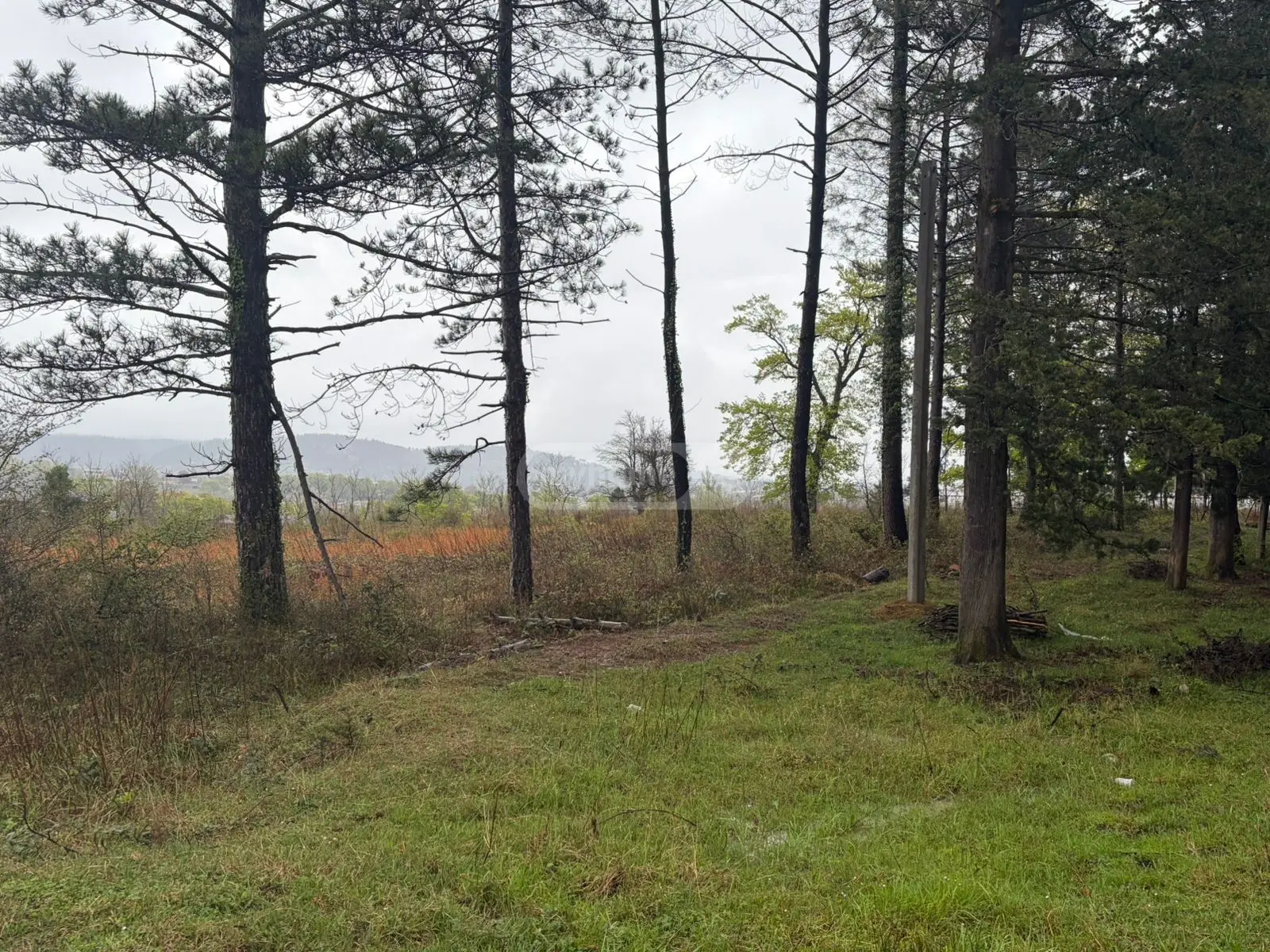 Non-Agricultural Plot For Sale Avtokarkhana, In Qutaisi view 4