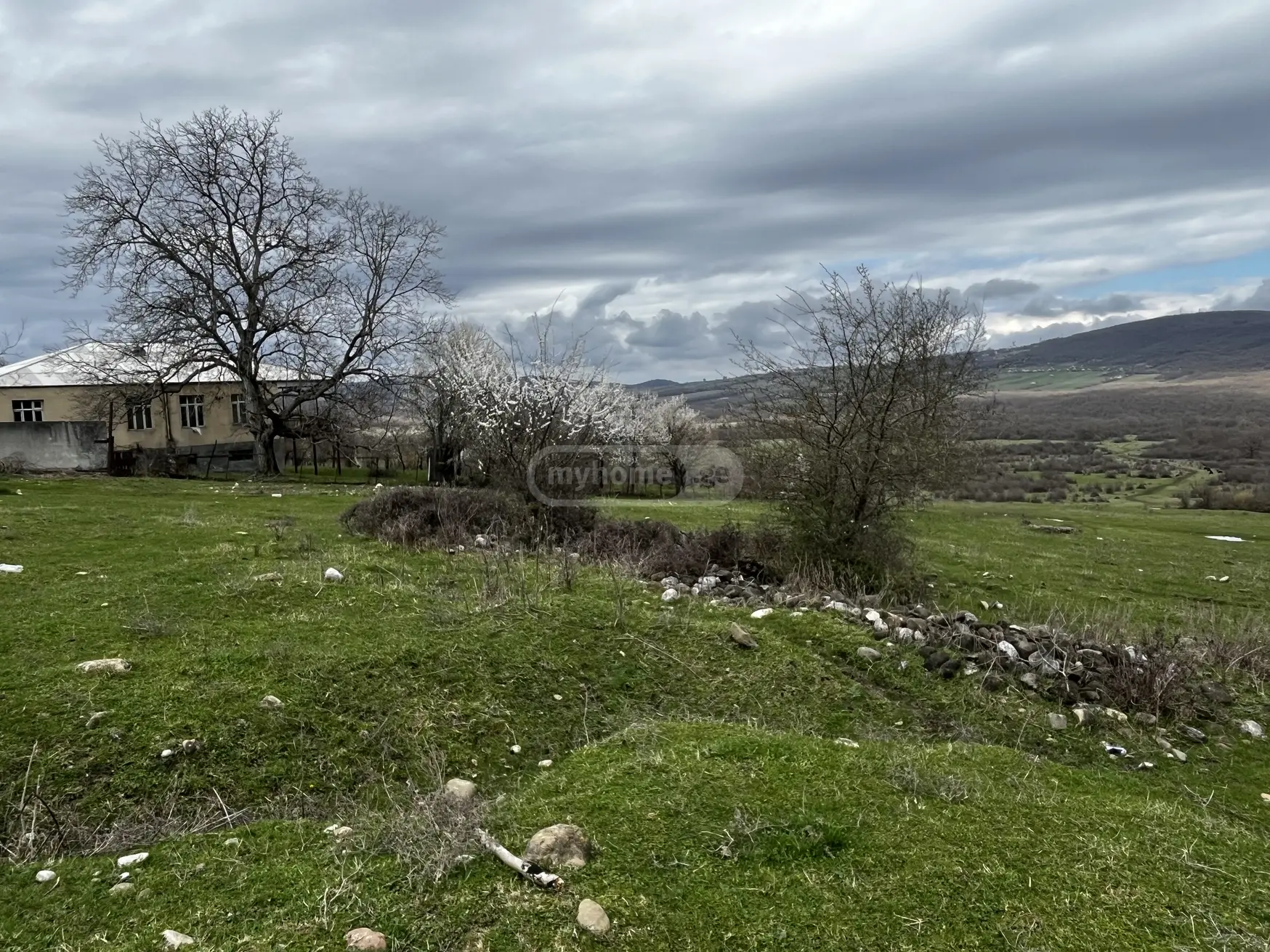 იყიდება Agricultural Plot In Qodalo, In Gurjaani Municipalityში view 3