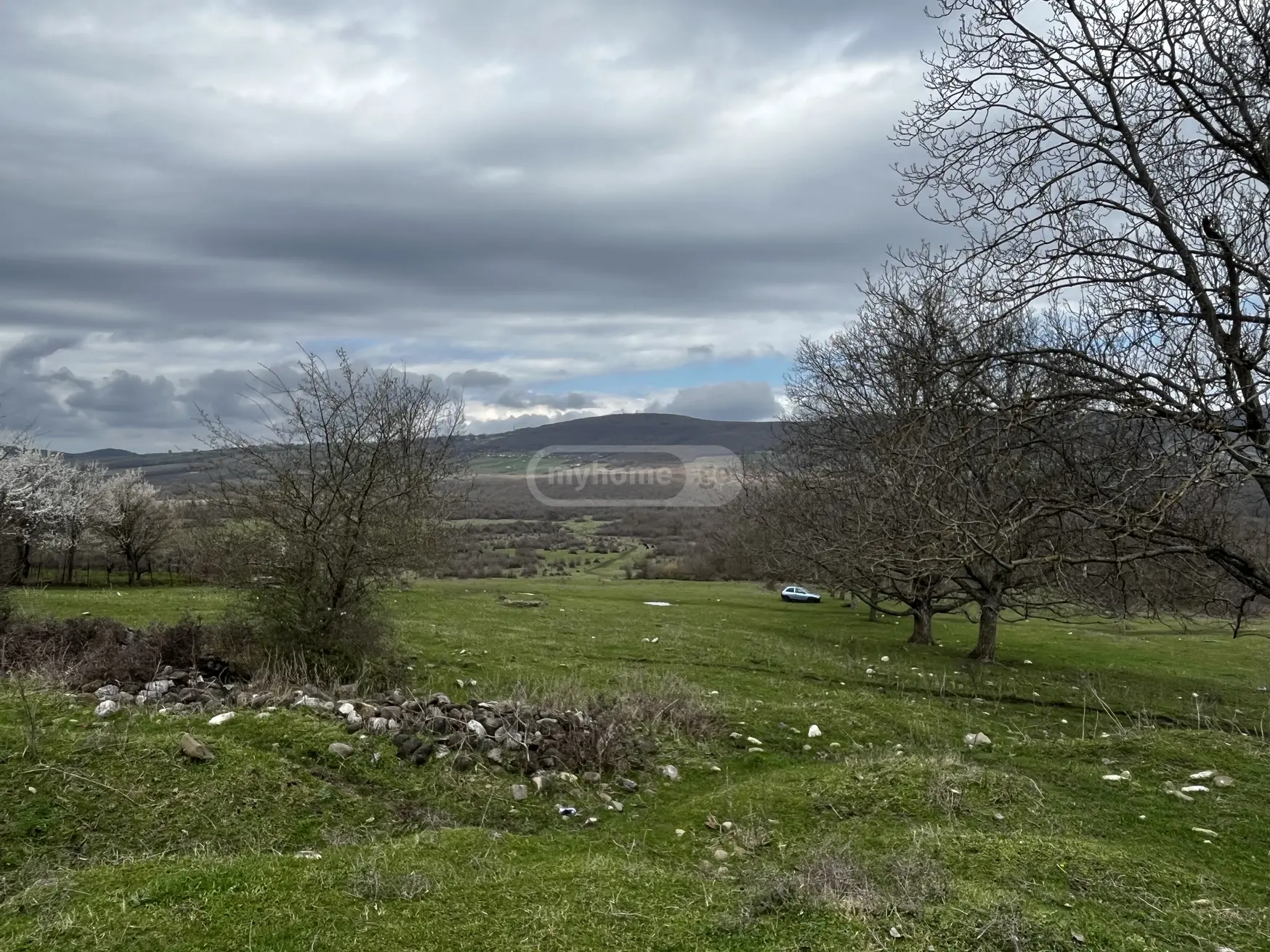 იყიდება Agricultural Plot In Qodalo, In Gurjaani Municipalityში view 2