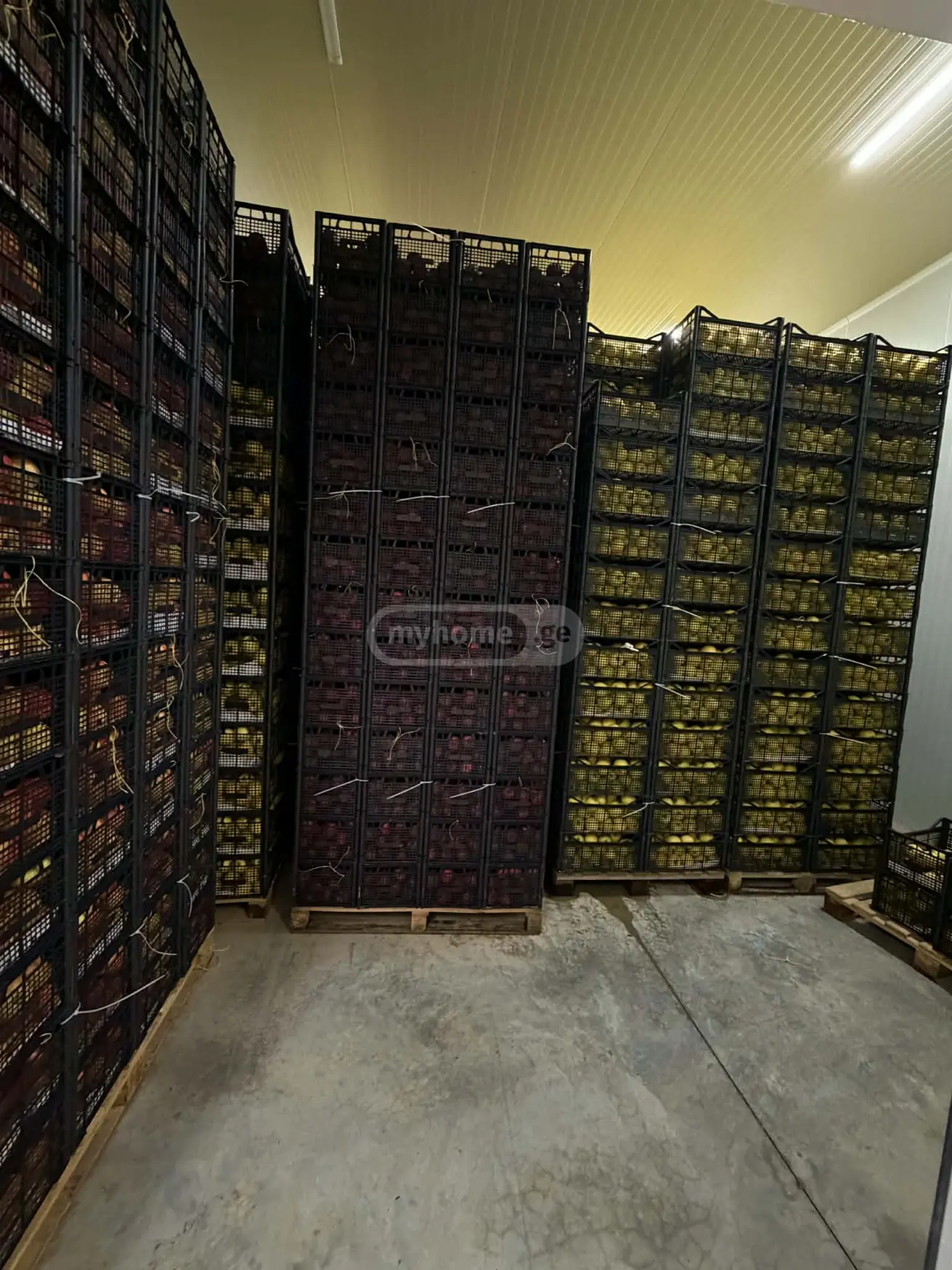 Trade Commercial Area For Sale In Gori view 12
