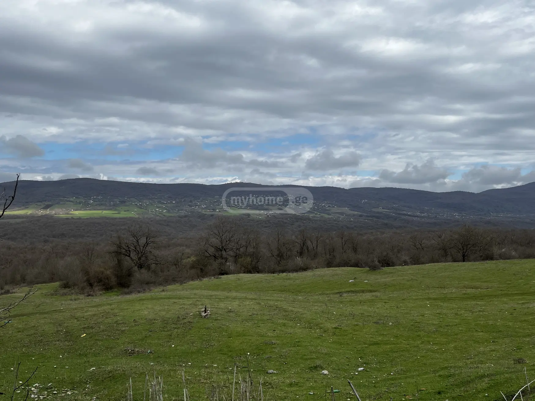 იყიდება Agricultural Plot In Qodalo, In Gurjaani Municipalityში view 1