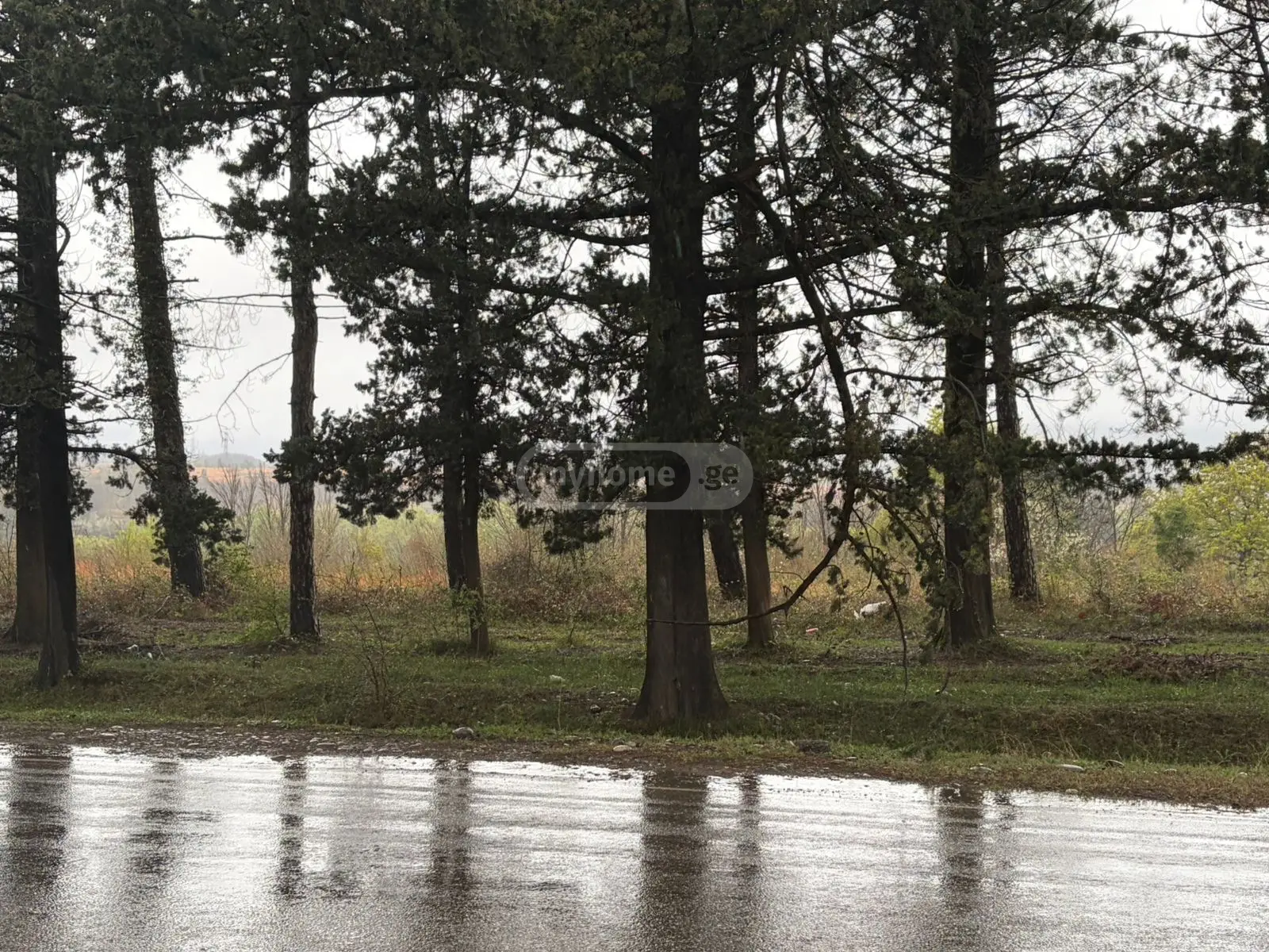 Non-Agricultural Plot For Sale Avtokarkhana, In Qutaisi view 5