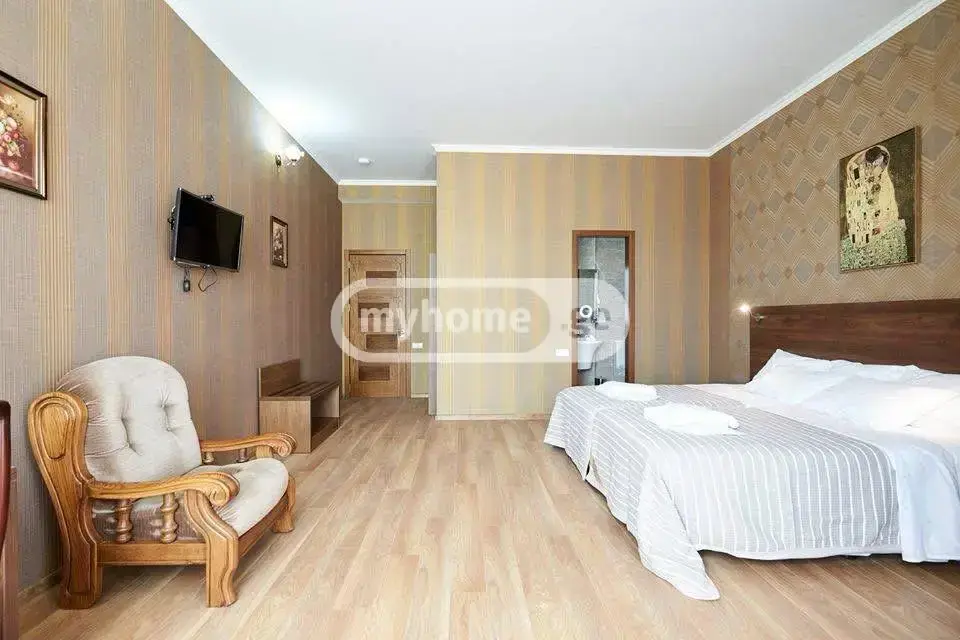 10+ Room Hotel For Rent In Vedzisi view 6