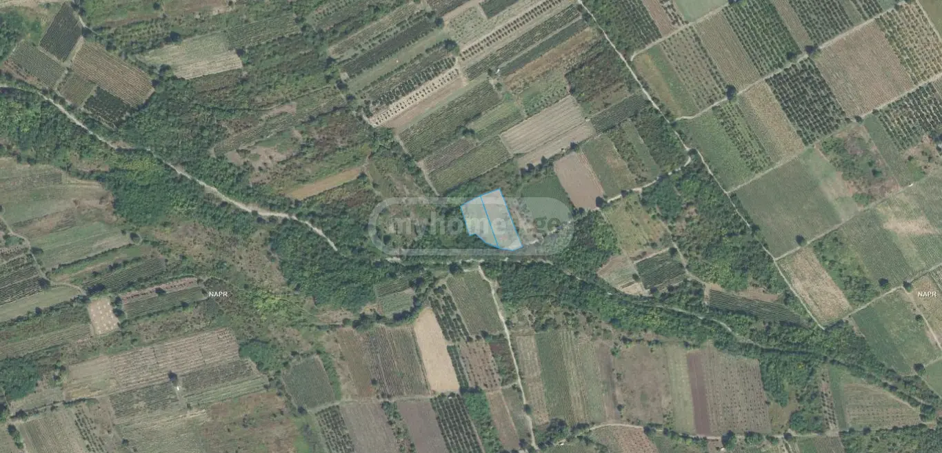 იყიდება Agricultural Plot In Vazisubani, In Gurjaani Municipalityში view 3
