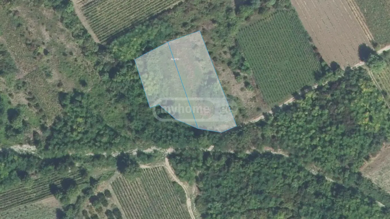 იყიდება Agricultural Plot In Vazisubani, In Gurjaani Municipalityში view 1