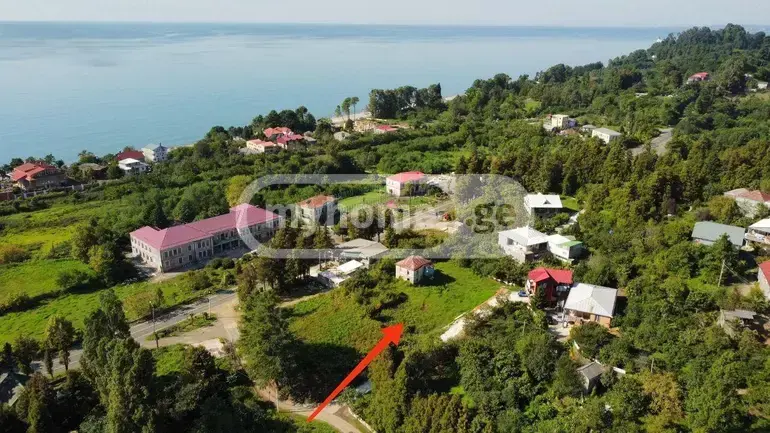 Agricultural Plot For Sale In Batumi view 2