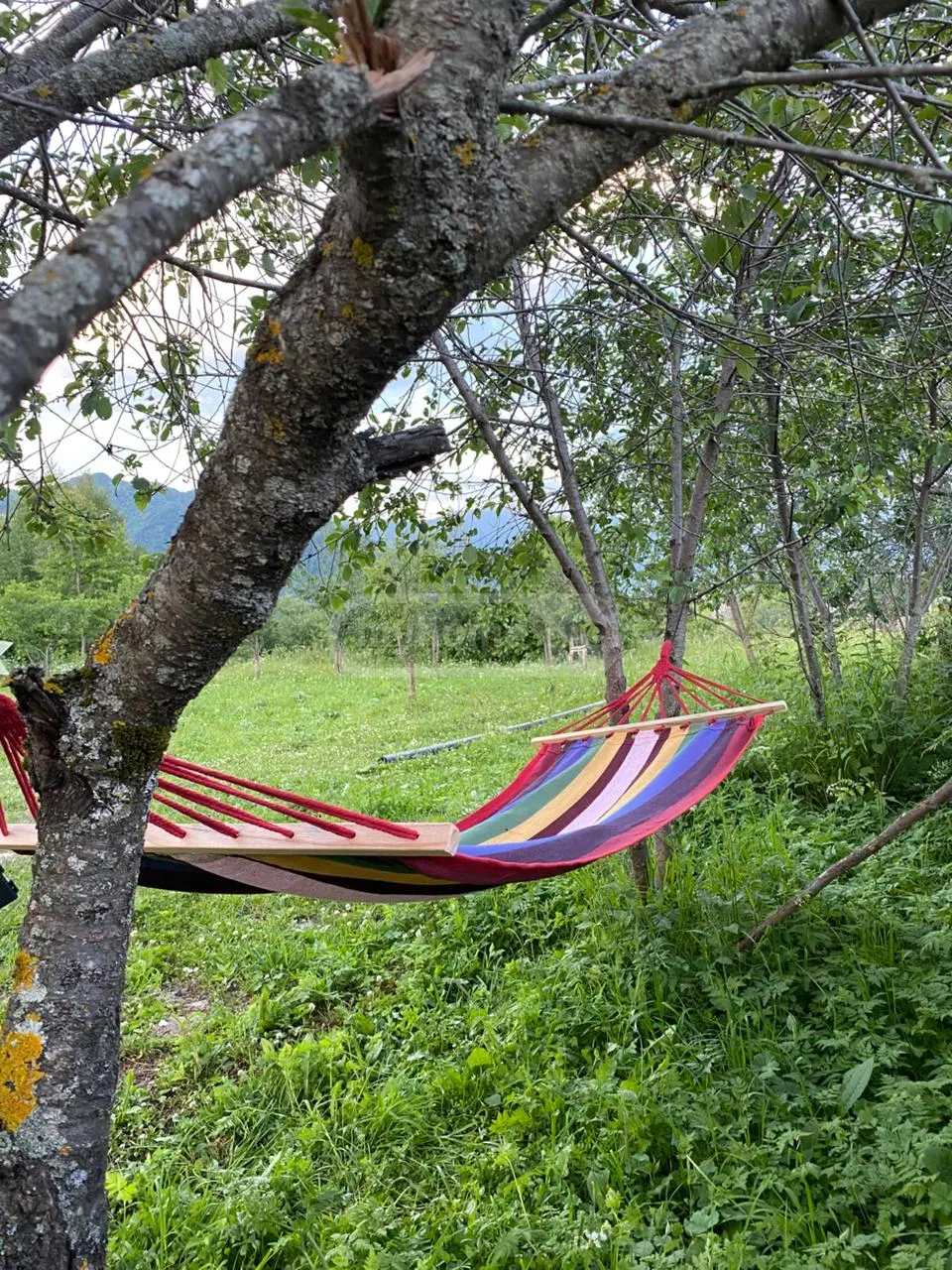 4 Room Country House Daily Rent In Gudauri view 14