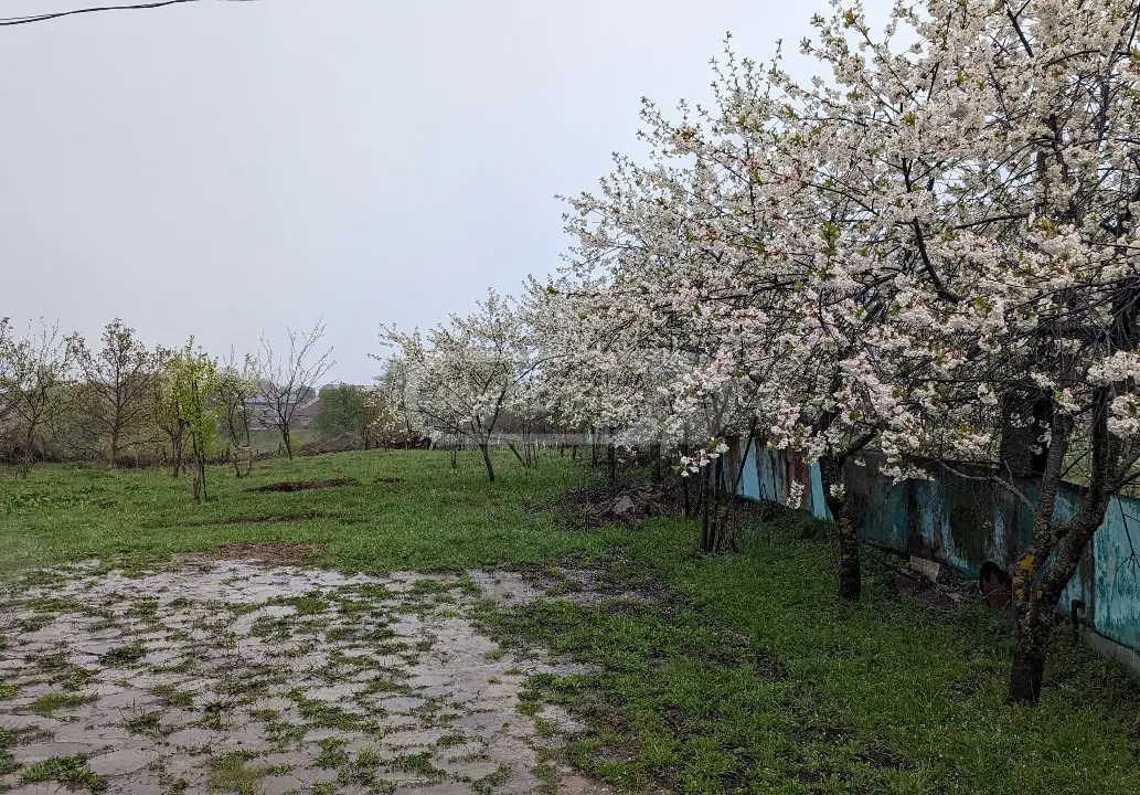 4 Room Private House Daily Rent In Gudauri view 15