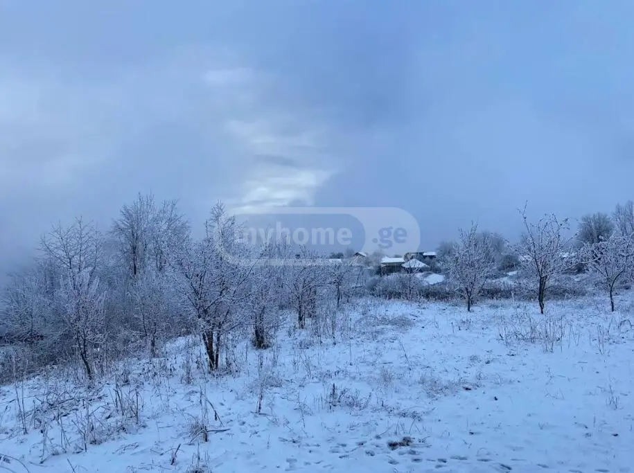 4 Room Private House Daily Rent In Gudauri view 14