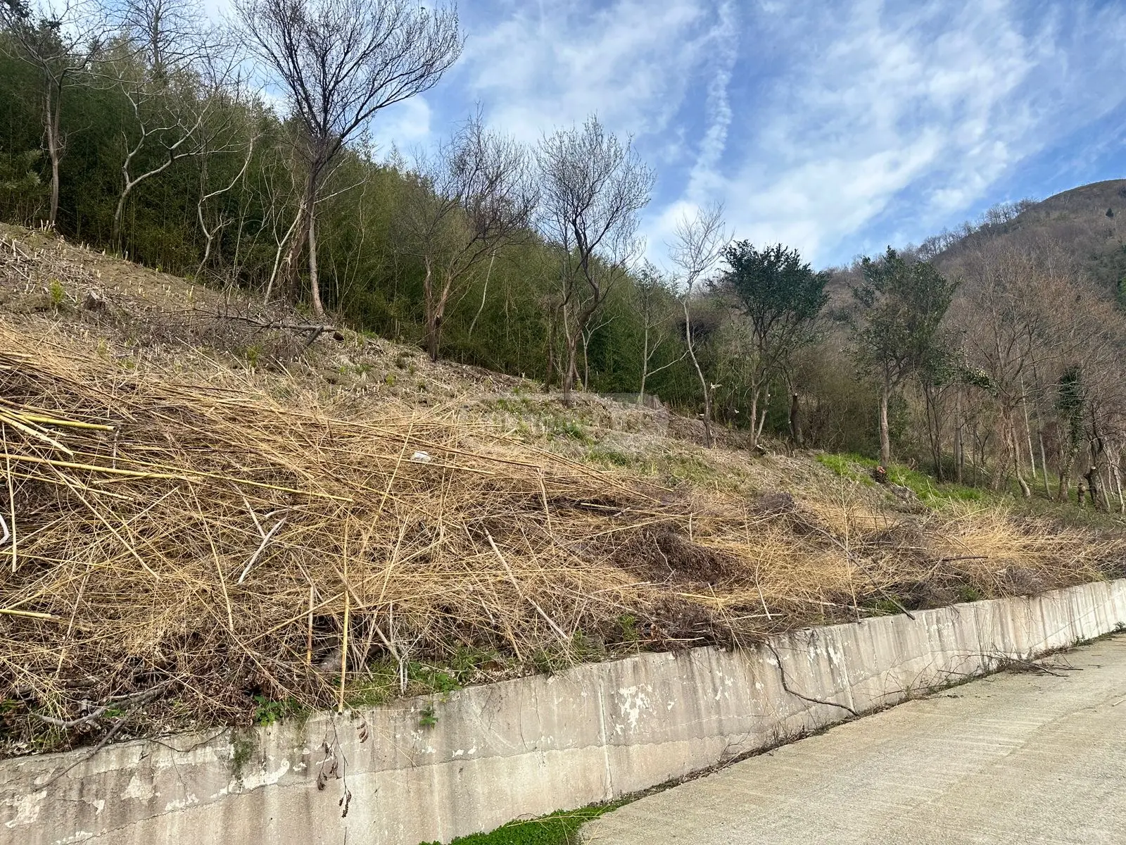 Agricultural Plot For Sale In Gonio, In Khelvachauri Municipality view 12