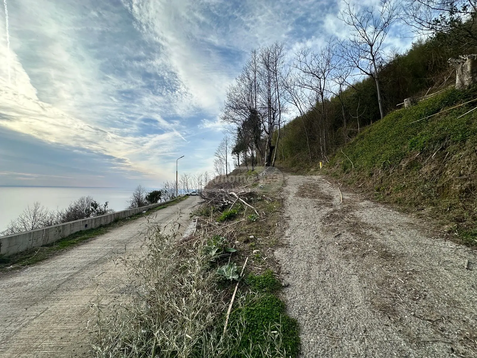 Agricultural Plot For Sale In Gonio, In Khelvachauri Municipality view 15