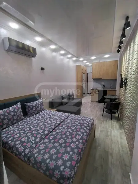 1 Room Apartment Daily Rent In Batumi view 13