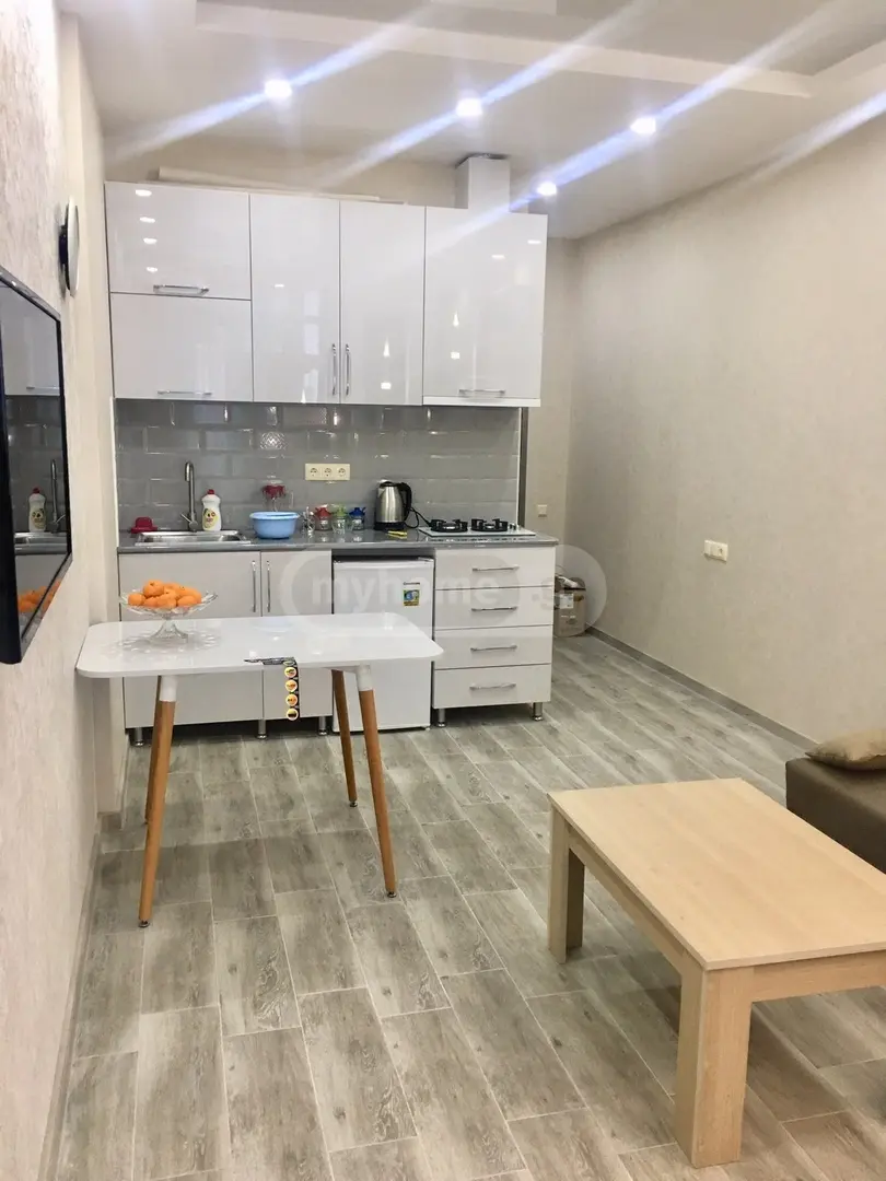 1 Room Apartment Daily Rent Khimshiashvilis Ubani, In Batumi view 4
