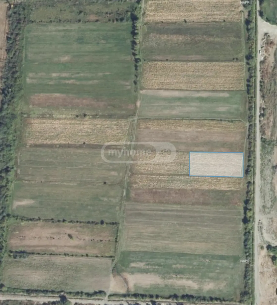 Agricultural Plot For Sale In Misaktsieli, In Mtskheta Municipality view 1