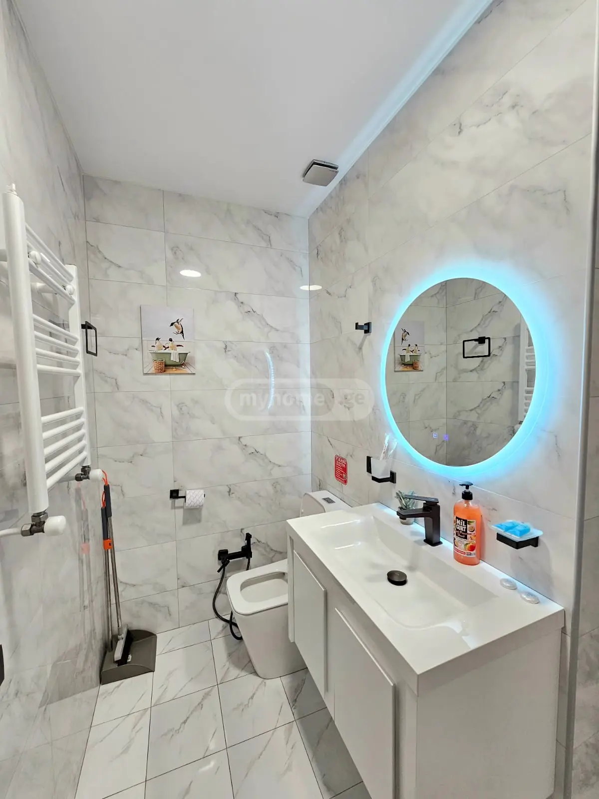 2 Room Apartment Daily Rent In Nadzaladevi view 12