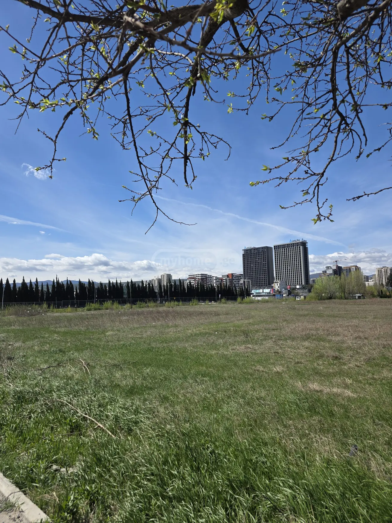 Non-Agricultural Plot For Sale In Digomi 1-9 view 10