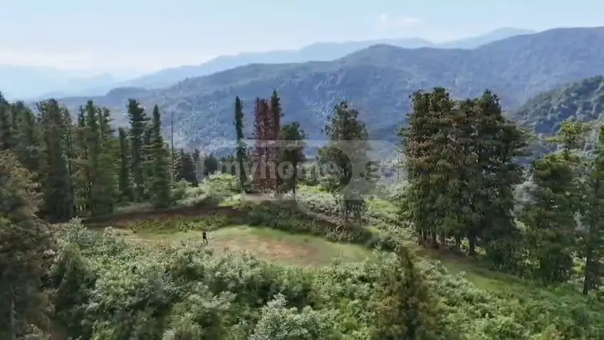 Investment / For Construction Plot For Sale In Gonio, In Khelvachauri Municipality view 2