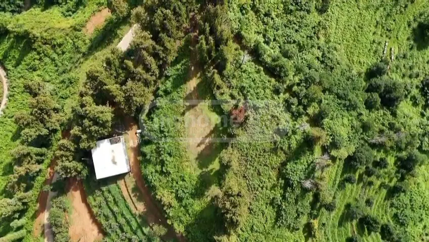 Investment / For Construction Plot For Sale In Gonio, In Khelvachauri Municipality view 11